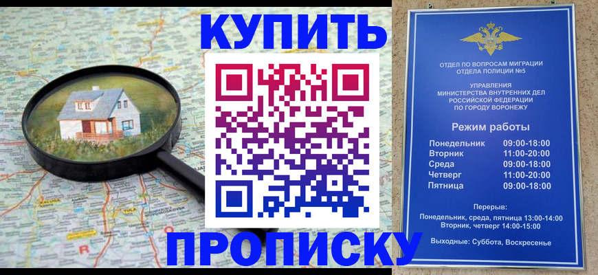 прописка поиск в Великих Луках